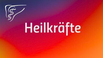 <div class="editor-content"><p>Gespräche</p></div>