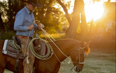 <div class="editor-content"><p>The Basics | Coming Soon</p></div>