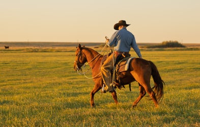 <div class="editor-content"><p>Western Beginner's Rider Course</p></div>