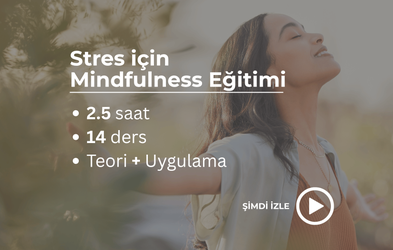 <div class="editor-content"><br></div>