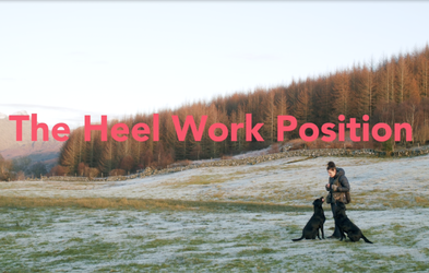 <div class="editor-content"><p>Lesson 3</p></div>