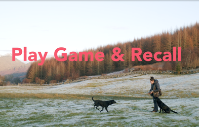 <div class="editor-content"><p>Session 4</p></div>