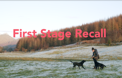 <div class="editor-content"><p>Lesson 5</p></div>