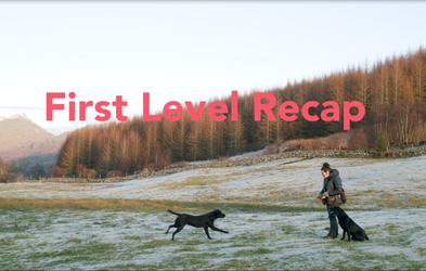 <div class="editor-content"><p>Lesson 6</p></div>