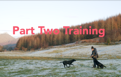 <div class="editor-content"><p>Lesson 7</p></div>