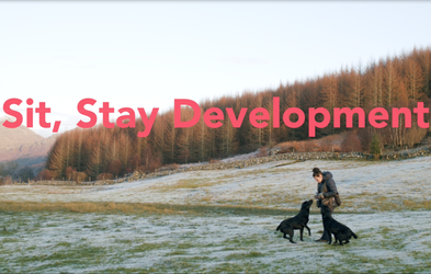 <div class="editor-content"><p>Lesson 8</p></div>