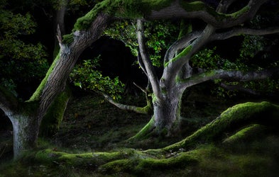 <div class="editor-content"><p>Lichtmalerei</p></div>