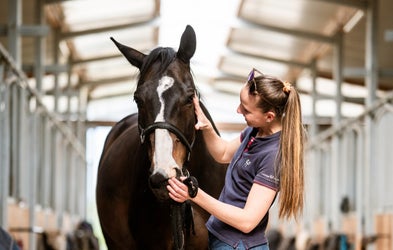 <div class="editor-content"><p>Propriétaire d’un cheval réformé : attentes vs réalité</p></div>