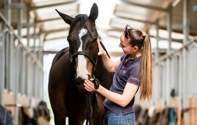<div class="editor-content"><p>Accompagner la transition du cheval réformé de l’intérieur</p></div>