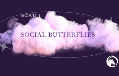 <div class="editor-content"><p>Episode 4</p></div>