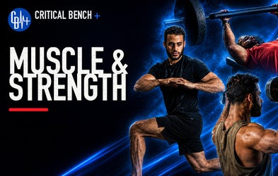 <div class="editor-content"><p>Muscle &amp; Strength</p></div>