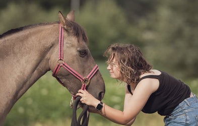 <div class="editor-content"><p>Accompagner un cheval vieillissant : ce que personne ne vous dit vraiment</p></div>