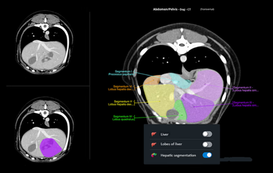 <div class="editor-content"><p>Képalkotó diagnosztika</p></div>