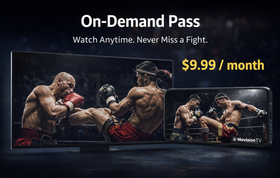 <div class="editor-content"><p>On-Demand</p><p>9.99/m</p></div>