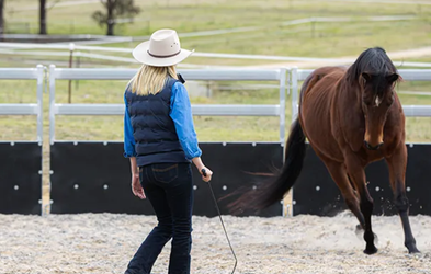 <div class="editor-content"><p>OTTB Retraining</p></div>