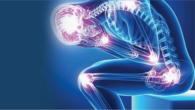 <div class="editor-content"><p>Postural Alignment &amp; Pain Relief</p></div>