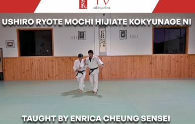 <div class="editor-content"><p>BASIC TECHNIQUES (KIHON WAZA)&nbsp; </p></div>