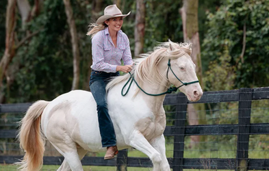 <div class="editor-content"><p>Building Confidence</p></div>