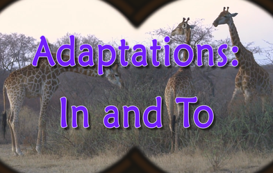 <div class="editor-content"><p>Paul and his Science Pals: Adaptations: In and To</p></div>