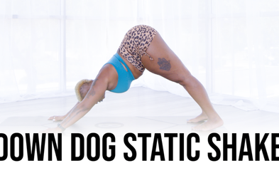 <div class="editor-content"><p>Downward Dog Static Shake</p></div>
