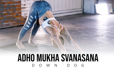 <div class="editor-content"><p>Downward Dog</p></div>