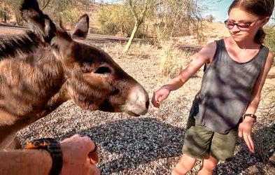 <div class="editor-content"><p>CREATE YOUR OWN CONTENT</p></div>