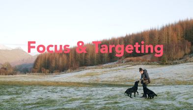 <div class="editor-content"><p>Lesson 1&nbsp;</p></div>