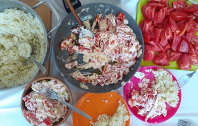 <div class="editor-content"><p><span style="font-size: 1.125rem">Proizvodnja hrane</span></p></div>