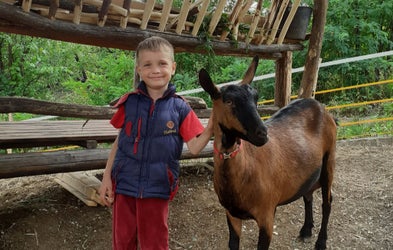 <div class="editor-content"><p><span style="font-size: 1.125rem">Životinje</span></p></div>