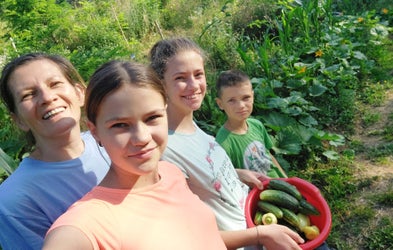 <div class="editor-content"><p><span style="font-size: 1.125rem">Vrt</span></p></div>