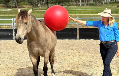 <div class="editor-content"><p>Problem Horses</p></div>