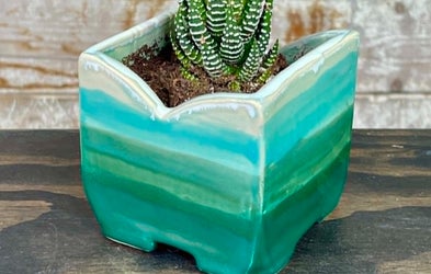 <div class="editor-content"><p>Square Planter</p></div>