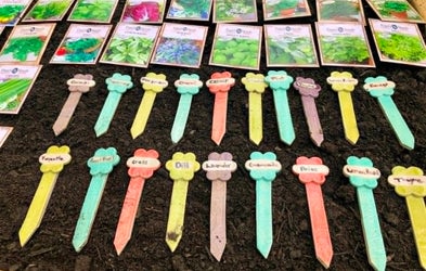 <div class="editor-content"><p>Garden Herb Stakes &amp; Markers</p></div>