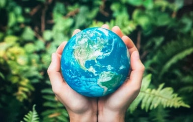 <div class="editor-content"><p>Life Styles</p></div>