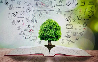 <div class="editor-content"><p>Education</p></div>