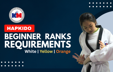 <div class="editor-content"><p>Colour Belt Rank Requirements</p></div>