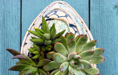 <div class="editor-content"><p>Wall Planter</p></div>