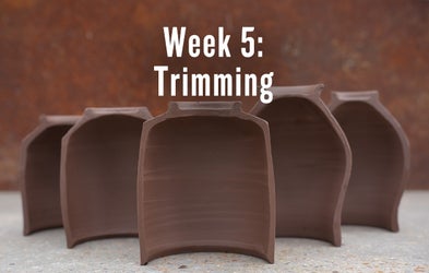 <div class="editor-content"><p><strong>Bonus Week Lessons!</strong></p><p><strong>February 5</strong></p></div>