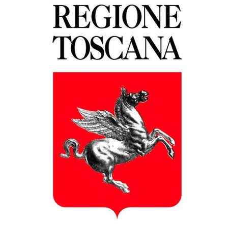 Il sostegno della Regione