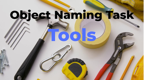 Object Naming