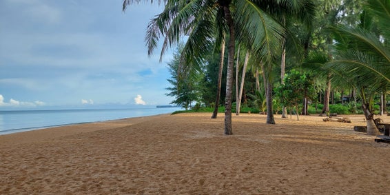 Available in application stores for mobile