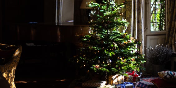 Available in application stores for mobile