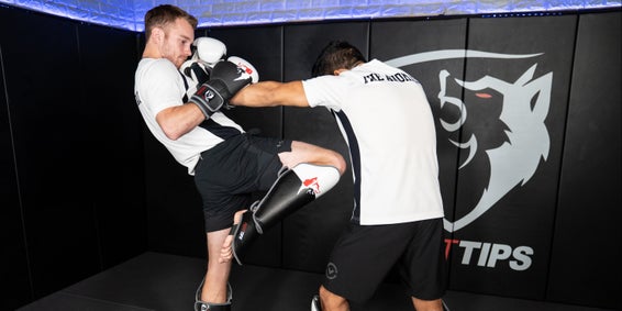 Available in application stores for mobile