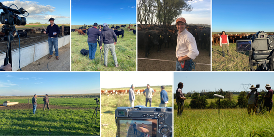 Available in application stores for mobile