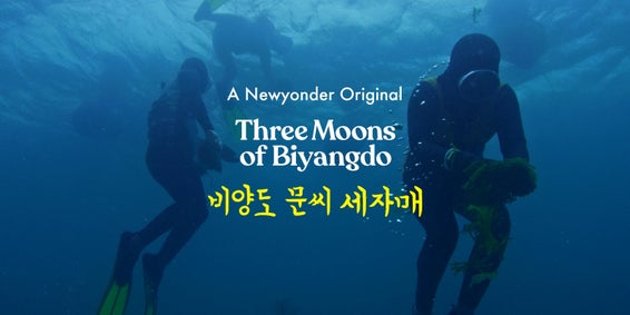 Available in application stores for mobile