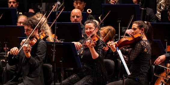 Available in application stores for mobile