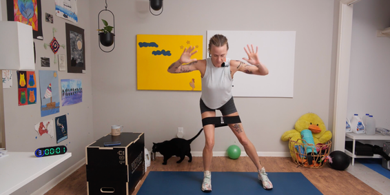 Available in application stores for mobile