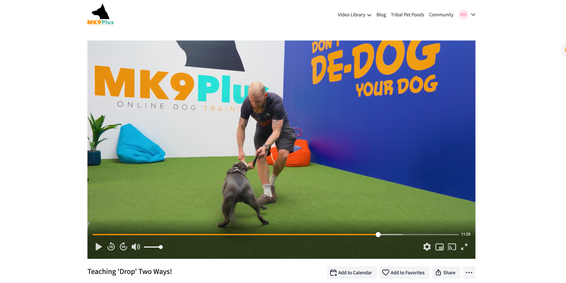 Available in application stores for mobile