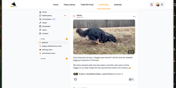 Available in application stores for mobile