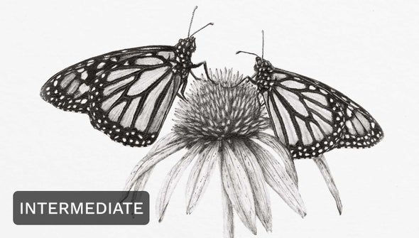 Structured Courses (Live and Recorded)